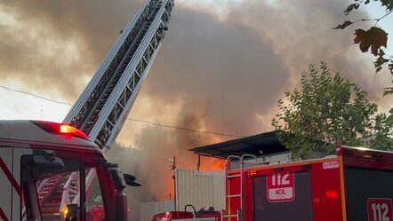 Alevler kısa sürede büyüdü! Kocaeli'nde palet deposunda korkutan yangın - gundem