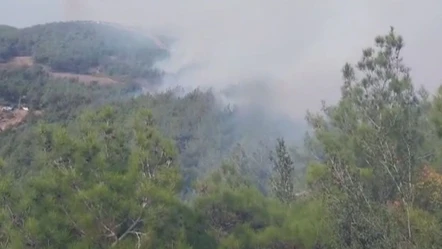 Hatay'da korkutan yangına havadan müdahale! Ekipler acil koduyla sevk edildi - Gündem