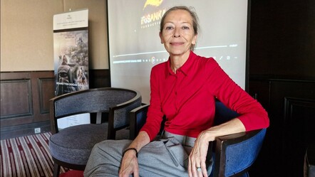 İspanyol edebiyat tarihçisi Isabel Soler, Cervantes’i anlattı: Don Kişot’un yazarı Osmanlı hayranıydı - kultur-sanat