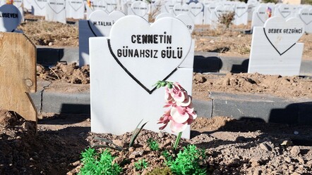 Sivas'ta parçalanmış bebek bulunmuştu! Olayın aslı ortaya çıktı - gundem