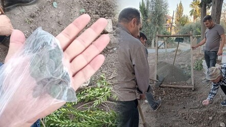 Mezar yeri kazarken küp buldular, içinden çil çil gümüş paralar çıktı! Mersin'de cenaze defni şaşırttı - gundem