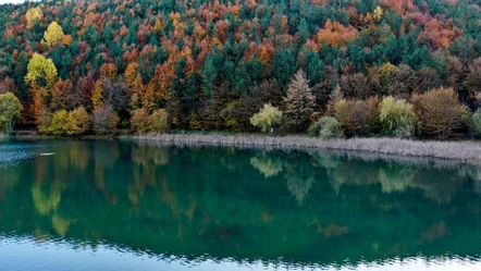 Bolu'nun gizli hazinesi Şirinyazı Göleti | Arşivlik kareler - Yaşam