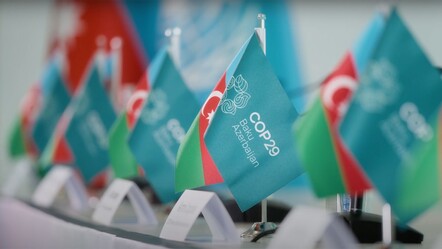 Bakü'de düzenlenen İklim Zirvesi başladı! COP29 nedir, katılımcıları kimler? - gundem
