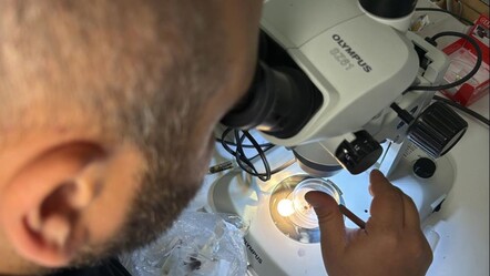 Hastalıkları taklit eden Lyme hastalığı, ABD'den sonra Türkiye'de - saglik