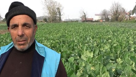 Rekolte düştü, fiyat uçtu! Üretici 'bunlar altın gibi' diyerek korkutan uyarıyı yaptı - ekonomi