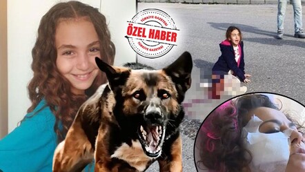 İnsan hakları meselesi haline geldi! Başıboş köpek vahşetinin hesabını verin - saglik