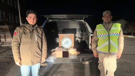 Gece avına para cezası! Van'da kaçak avcılara suç üstü - yasam