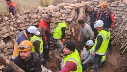 Siirt'te korkunç olay! Ahırın tavanı çöktü! 3 hayvan telef oldu - gundem