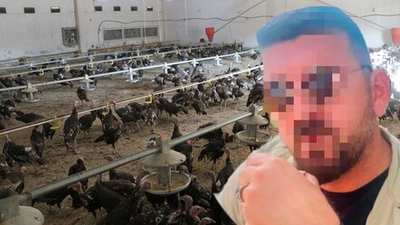 İkinci 'Çiftlik Bank' vakası! Bu kez 'hindi' ile 50 milyon lira dolandırdılar - gundem