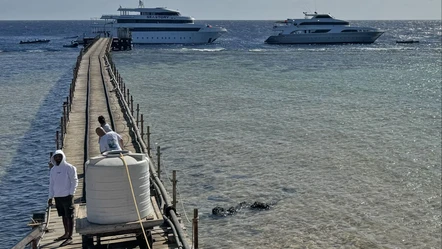 Kızıldeniz'de turist teknesi battı: Çok sayıda kayıp var - Dünya