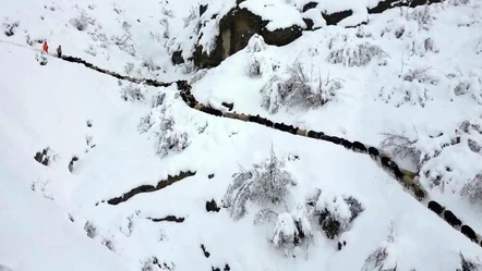 Kar yağışı ve çığ felakete neden oldu! 350 koyun uçurumdan düştü - Gündem