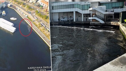 CHP'li belediyede bu defa petrol kaynaklı kirlilik! İzmir Körfezi siyah yağ tabakası ile kaplandı - gundem