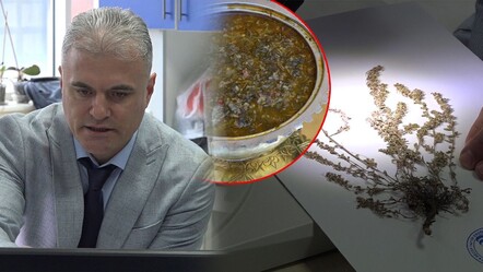 Madımak Türkiye'ye ait 'yeni bir bitki türü' olarak keşfedildi! Literatüre öğretmenin adıyla geçti: Polygonum Uysalii - gundem