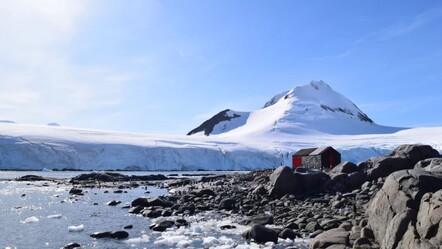 Antarktika'da tarihi deniz buzu kaybı! 2 bin yılda bir görülen olay - dunya