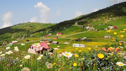 Yeni Orman Kanunu! El konan 60 bin yayla taşınmazı iade edilecek - gundem