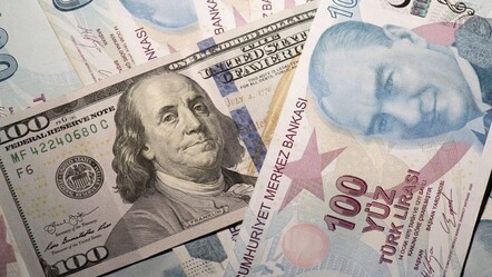 11 ayda şok zarar! Dolarda reel kayıp zirvede - ekonomi