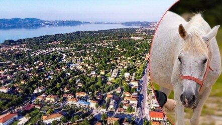 Sapanca gezilecek yerler listesi! İyi bir tatil için tavsiyeler... - haberler