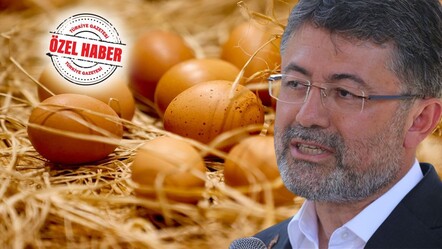 Yumurtayı kuş gribi vurdu! Sağlığımızı etkiler mi? Bakan Yumaklı açıkladı - dunya