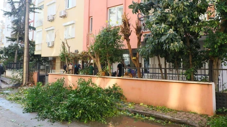 Ağaç budamak istedi, koca bir mahalleyi mağdur etti! Elektrik kesildi, cihazlar yandı, yangın çıktı... - Yaşam