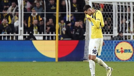 Agresif Fenerbahçe! Avrupa Ligi'nin en çok kart gören takımı - spor