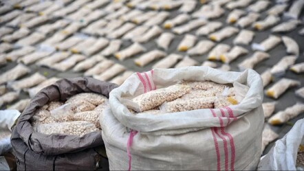 Suriye'de captagonla mücadele başladı! Havaalanında bir bir imha ettiler - gundem