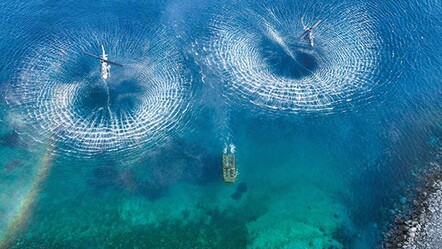 NATO'nun 'yılın fotoğrafı' oylamasını Türkiye kazandı! İşte o kare - dunya