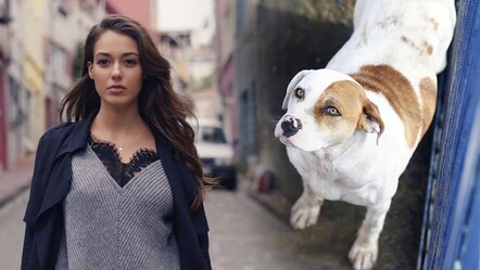 Oyuncu Dilan Çiçek Deniz'i köpek ısırdı! Apar topar hastaneye gitti - gundem