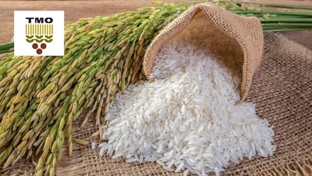 Çiftçileri sevindiren haber... TMO çeltik alım fiyatlarını açıkladı - ekonomi