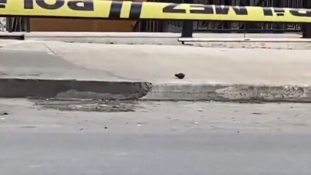 Beylikdüzü'nde bulunan el bombası korku dolu anlara neden oldu! Bomba imha ekipleri akın etti - gundem