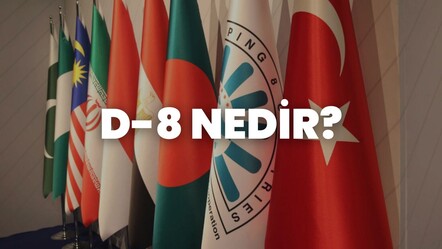 D8 ülkeleri hangileridir? Cumhurbaşkanı Erdoğan D-8 Zirvesi için Mısır'da - gundem