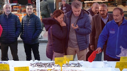 Her yerde ucuz İstanbul için lüks... Hamsi megakentte neden pahalı? - gundem