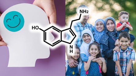 Serotonin hormonu nedir ve nasıl çalışır? - haberler