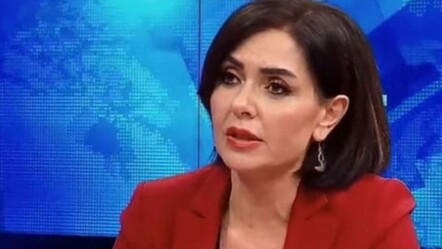 Mehmetçiği 'DEAŞ'a benzeten gazeteci Özlem Gürses gözaltına alındı - haberler