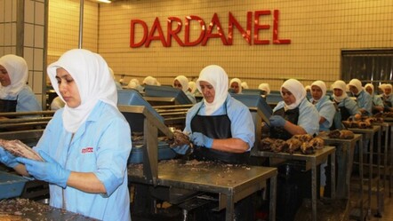 Türkiye'nin ünlü markası Dardanel'e yabancı ortak! Satış tamamlandı - ekonomi
