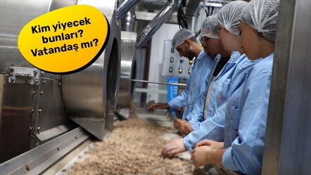 Fransa'nın ardından İsveç de iade ediyor! Türkiye'den gönderilen gıda ürününde zehirli madde tespit edildi - ekonomi