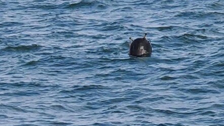 Rusya ile Ukrayna savaşıyor mayınları İstanbul’a geliyor - dunya
