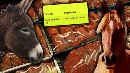 Bakanlık gıda sahtekarlarını açıkladı, ünlü markalar da listede! Bir at ve eşek eti skandalı daha - ekonomi
