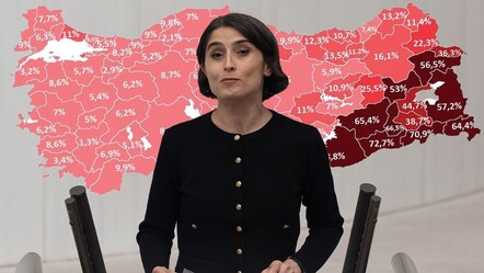 DEM Partili Ceylan Akça'dan skandal kaçak elektrik savunması: Topraklarımızda ürettiğiniz elektriği fahiş fiyatla satamazsınız - gundem