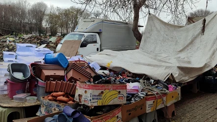 Güngören’deki semt pazarında ağaç devrildi! Yaralılar var - Gündem