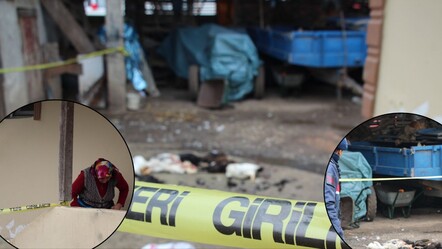 Horozları komşuya verilince dehşet saçtı! Tüfeğiyle önüne geleni vurdu - dunya