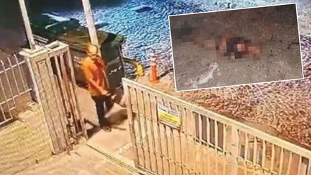 Başıboş köpekler İstanbul'da Ayhan Özçelik'i parçalayarak öldürmüştü! Şoke eden otopsi raporu ortaya çıktı - gundem