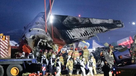 Güney Kore’deki uçak kazasının gerçek sebebi ne? - dunya