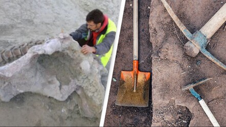 Dinazor ayak izleri 166 milyon yıl sonra gün yüzüne çıktı! İngiltere'den büyük keşif - dunya