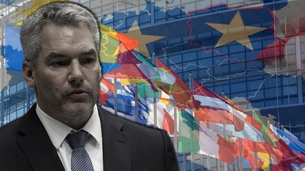 Avusturya Başbakanı Nehammer istifa edeceğini duyurdu - dunya