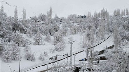 Van'da eğitime kar engeli! Okullar bir günlüğüne tatil edildi - haberler