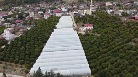 Adana'da mahallede başladı, 30 dönüme ulaştı: Gören komşular harekete geçti - yasam