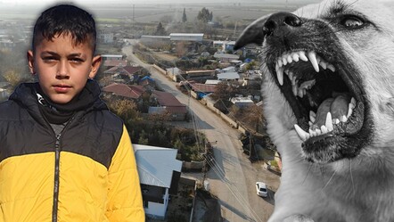 Kuduz köpek ısırmıştı! 10 yaşındaki Murat dehşet anlarını böyle anlattı - yasam