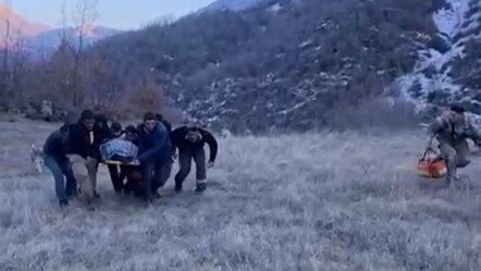 Siirt'te dehşet! Domuz sürüsü saldırdı, uçurumdan düştü - 3-sayfa