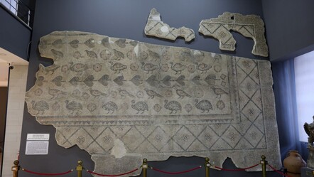 Tarihî mozaiğin parçası 22 yıldır ahırda bekliyor! Hukuki anlaşmazlık çıktı, eser toprak altında kaldı - gundem