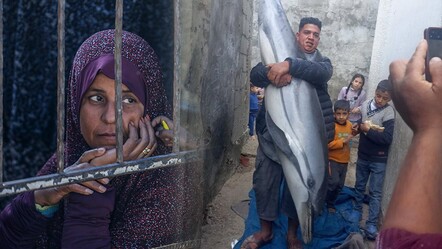 Açlıktan kırılan Gazze'de denize açılan Filistinli yunus balığı avladı - haberler